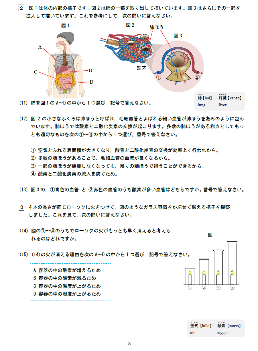 理数プログレス講座と理科検定の実施